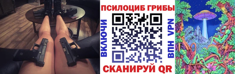 Псилоцибиновые грибы Psilocybe  Элиста 