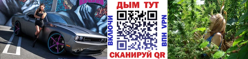 Марихуана гибрид  где купить наркоту  Элиста 